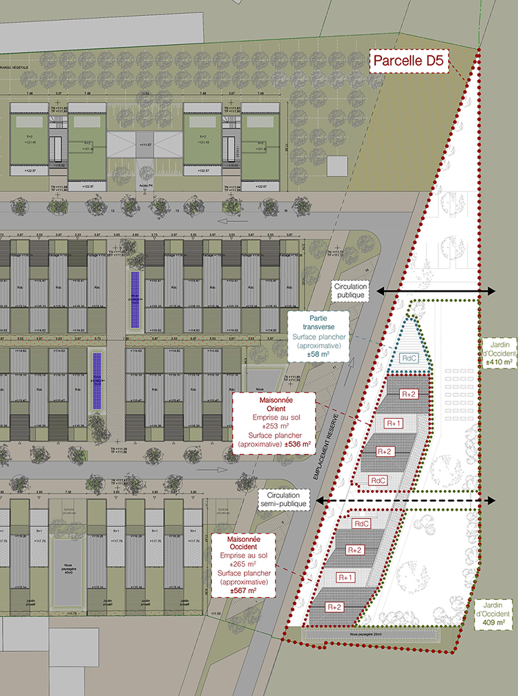 Plan masse du projet de conception de deux maisonnées accueillant des personnes ayant un handicap mental à Saint-Jean-de-Braye